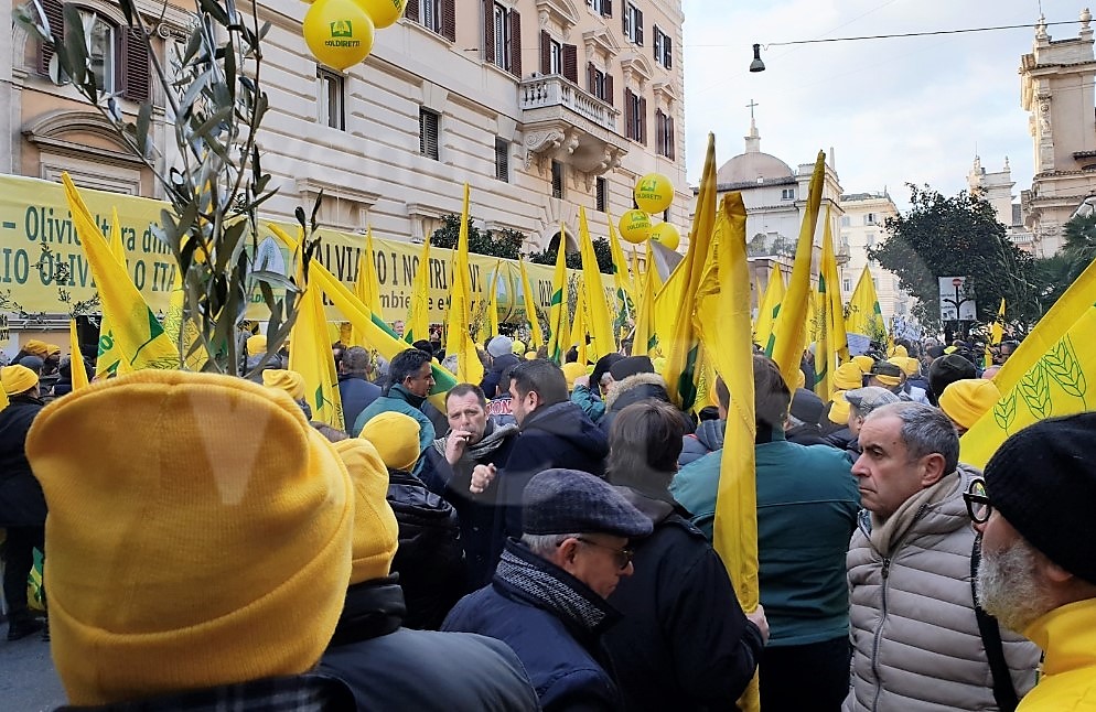 EFA News - European Food Agency - Agricoltori Coldiretti in protesta a ...