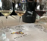 Vini Consorzio Sicilia DOC