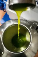 Olio novello